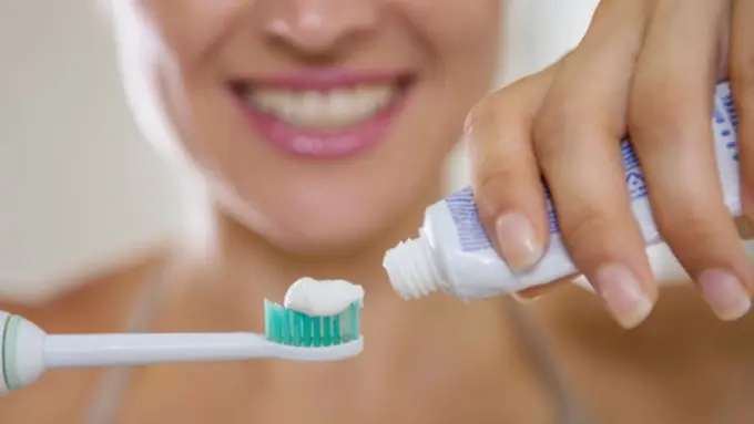 copyright by shutterstock.com