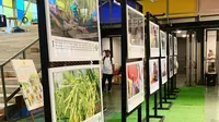 Pameran Foto Kementerian Pertanian tahun 2024 yang berada di MBloc, Jakarta Selatan pada Rabu 3 April 2024.