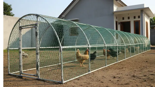 Kandang Ayam Lorong Kawat Umbaran