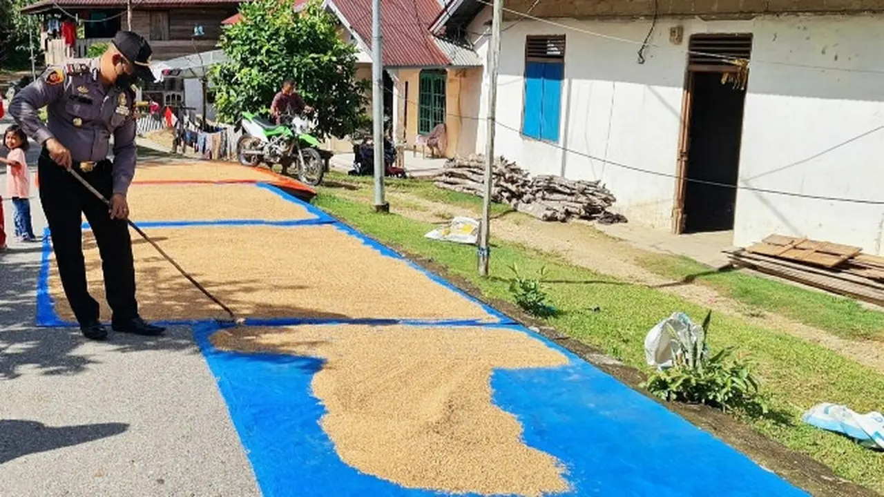 Kapolsek di jajaran Polda Riau menjaga gabah warga yang sedang ikuti vaksinasi massal di Kabupaten Kuansing.