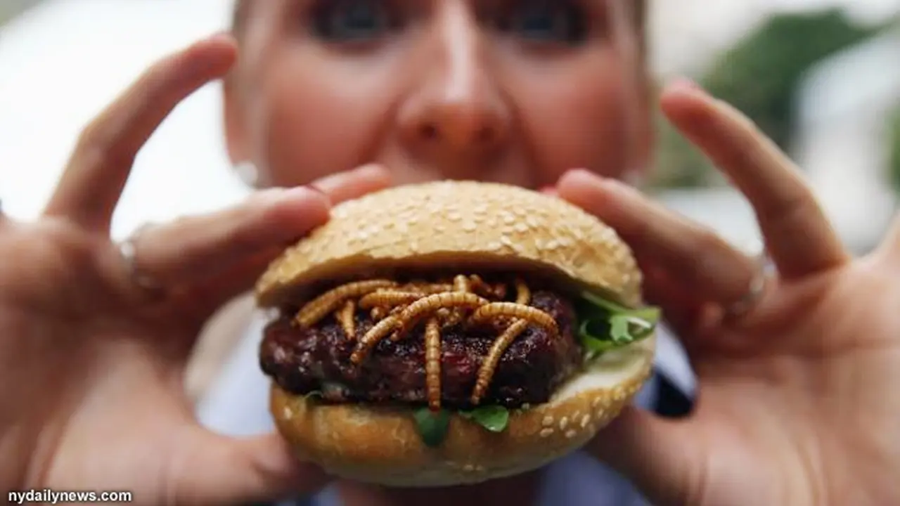 burger-130816b.jpg