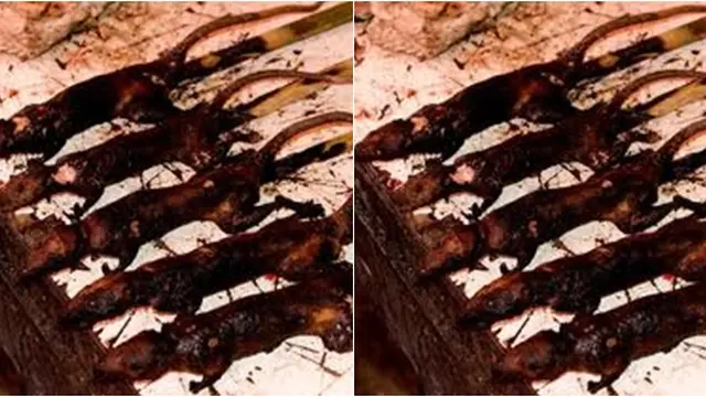 Courtesy visitmanado