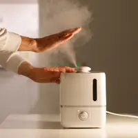 Ilustrasi Penggunaan Humidifier Credit: pexels.com/Nikolay