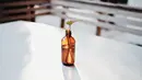 Botol bekas juga bisa dialihfungsikan sebagai vas seperti ini juga, lho. Cocok untuk menaruh setangkai bunga kecil di atas meja./Copyright pexels.com/@vie-studio