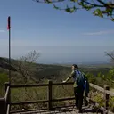 Kondisi Wisata Pulau Jeju Setelah Diguncang Kasus 4 Orang Hilang Ditemukan Meninggal