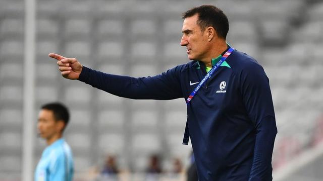 Pelatih Timnas Australia U-23 di Piala Asia U-23 2024, Tony Vidmar