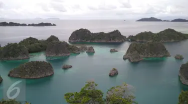 Suasana pemandangan Pulau Piaynemo di Kabupaten Raja Ampat, Papua Barat. Pulau ini menjadi salah satu ikon Raja Ampat dan tempat favorit para turis untuk berfoto-foto. (Liputan6.com/Zulfi Suhendra)