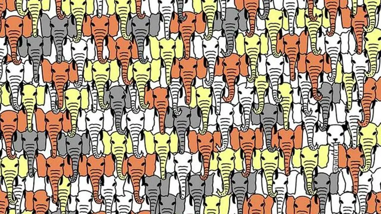 Panda Tersesat Lagi, Yuk Bantu Cari Dia di Antara Kawanan Gajah!