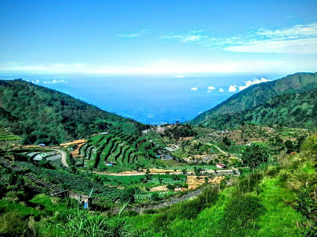 Desa Sembungan, Dieng, Jawa Tengah. (Sumber Foto: masdain_309/Instagram)