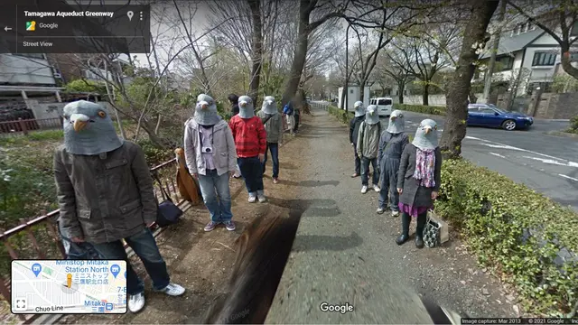 Pigeon People