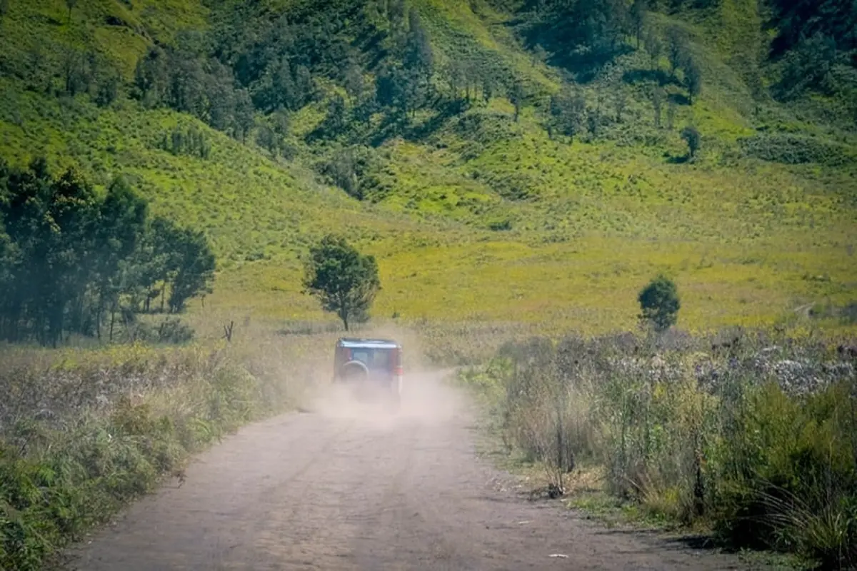 Ilustrasi road trip