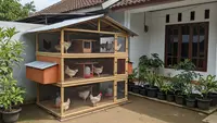 7 Model Kandang Ayam Bertingkat untuk Menghemat Tempat, Cocok di Lahan Sempit