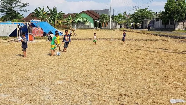 Masih Takut Tinggal di Rumah, Warga Lombok Alami Kelangkaan Terpal