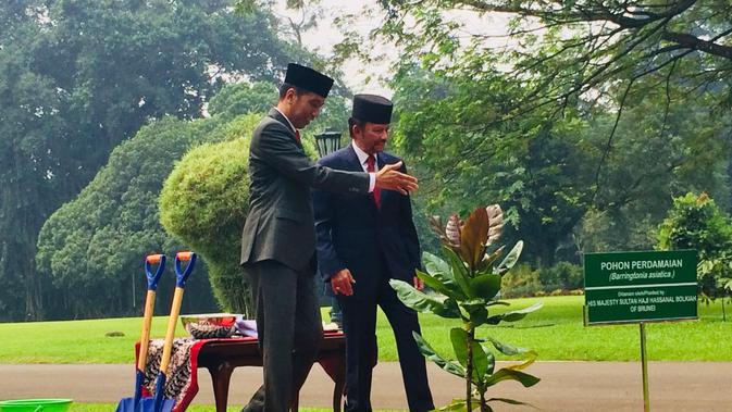 Presiden Jokowi menanam pohon berdamaian bersama Sultan Brunei Sultan Hassanal Bolkiah.