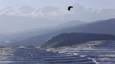 Foto dari udara yang diabadikan pada 7 Desember 2020 ini menunjukkan pemandangan sawah terasering yang tertutup salju di Kota Wuwei, Wilayah Otonom Etnis Tibet Tianzhu, Provinsi Gansu, China barat laut. (Xinhua/Jiang Aiping)