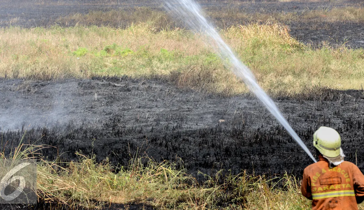 Petugas pemadam kebakaran melakukan pemadaman lahan yang terbakar di kawasan Lingkar Mega Kuningan, Jakarta, Minggu (13/9/2015). Diduga kebakaran lahan kosong tersebut puntung rokok yang dibuang sembarangan. (Liputan6.com/Faizal Fanani) 