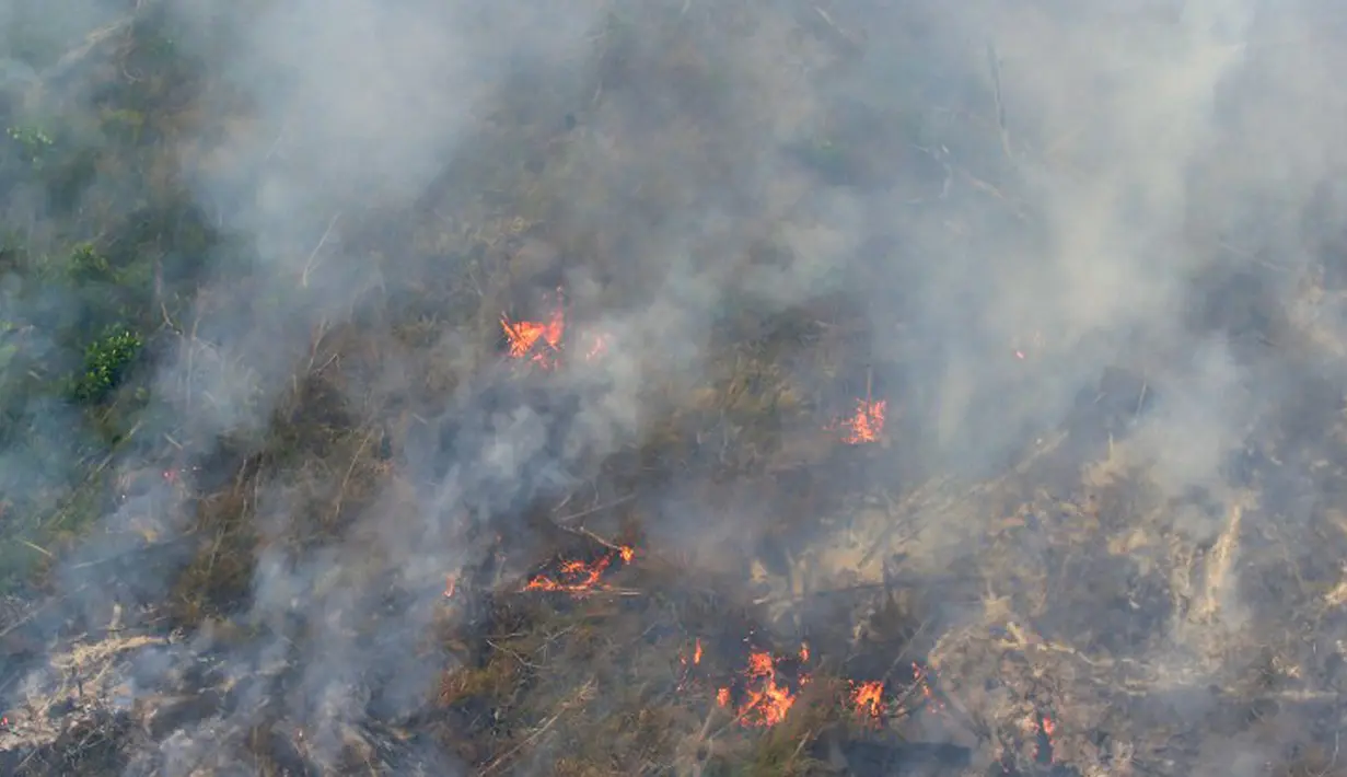 Pemandangan lahan yang terbakar dari atas helikopter di Pelalawan, Provinsi Riau, Kamis (17/9/2015). Asap dari kebakaran hutan ini mengakibatkan aktivitas warga Riau dan sekitarnya terganggu (AFP Photo/Adek Berry)