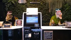 Sepasang robot dinosaurus menyambut para tamu dari meja resepsionis Hotel Henn-na di Urayasu, Tokyo, 31 Agustus 2018. Hotel ini berbeda pada umumnya, seluruh staf atau pekerjanya adalah robot, termasuk dinosaurus menjadi resepsionis. (AFP/Kazuhiro NOGI)