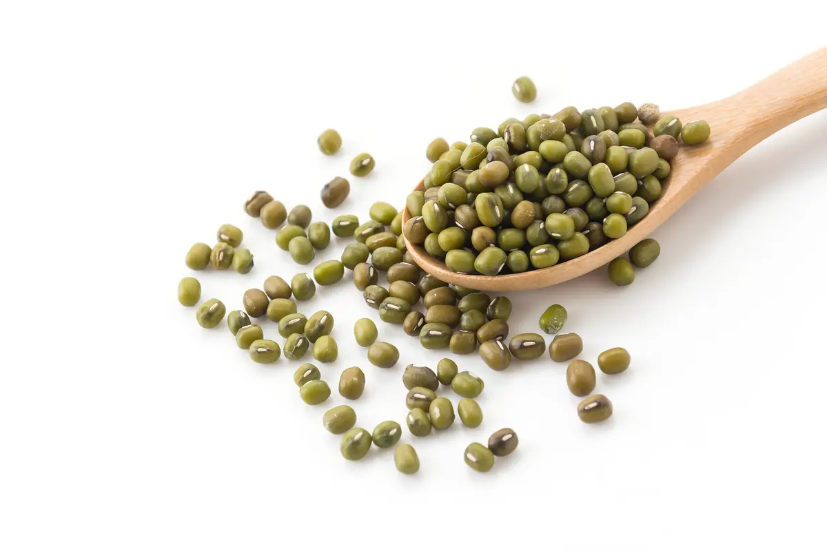 Kacang Hijau