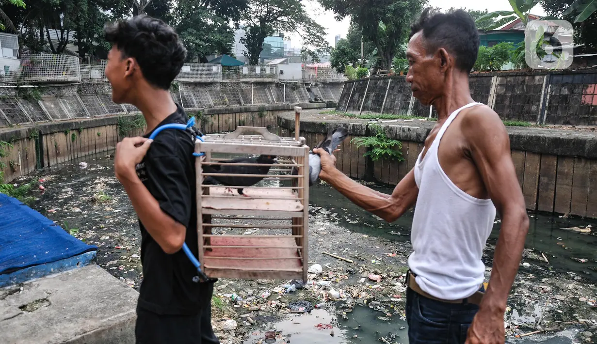 Seperti diketahui, saat ini luas ruang terbuka hijau di Jakarta mencakup 5,18 persen dari luas wilayah secara keseluruhan.  (merdeka.com/Iqbal S. Nugroho)