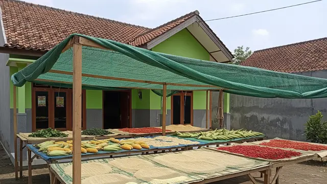 9 Model Kanopi Sederhana untuk Menjemur Hasil Panen, Tingkatkan Kualitas