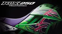 Kawasaki memperkenalkan dua sepeda motor baru yang diberi embel-embel `Final Edition`, KLX 250 dan D-Tracker X. 
