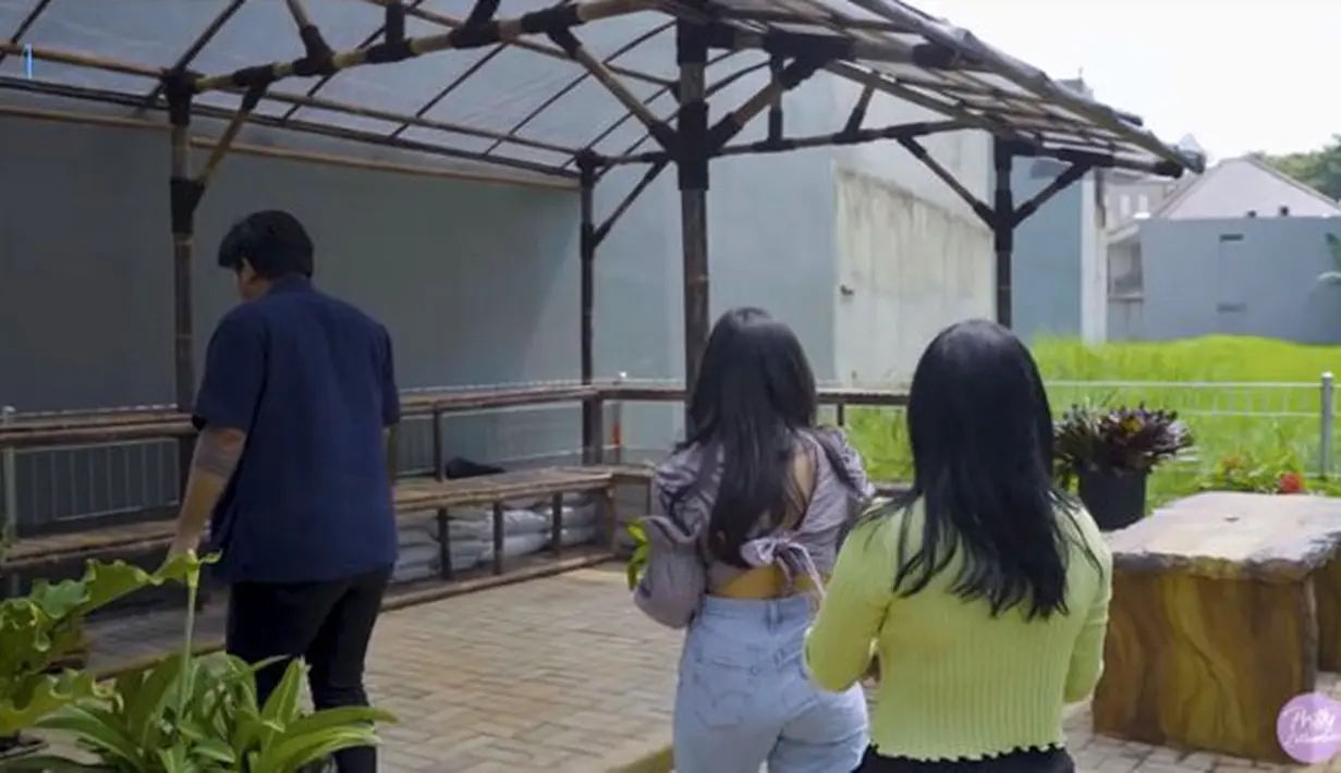 Kebun sayur Prilly Latuconsina (Youtube/ Prilly Latuconsina)