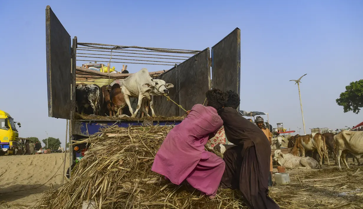 Umat Islam di seluruh dunia akan merayakan Hari Raya Idul Adha yang identik dengan tradisi berkurban. (AFP/Asif Hassan)