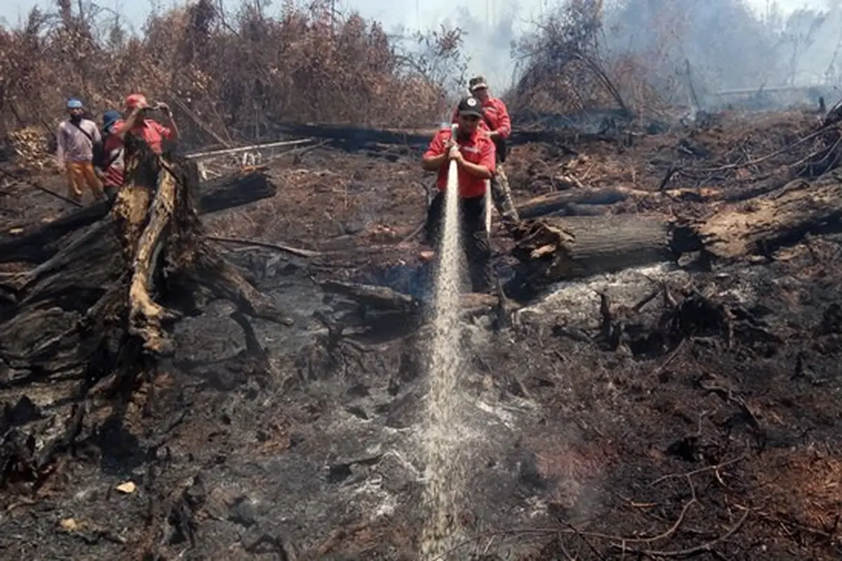 Kebakaran lahan gambut di Riau yang sempat memicu bencana kabut asap beberapa tahun lalu.