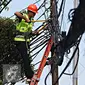 Pekerja mengecek instalasi kabel di tiang listrik milik PLN, Jakarta, Jumat (26/2). PLN menjaga mutu keandalan penyaluran tenaga listrik, memenuhi ketentuan keselamatan ketenagalistrikan, dan estetika tata kota Jakarta. (Liputan6.com/Immanuel Antonius)