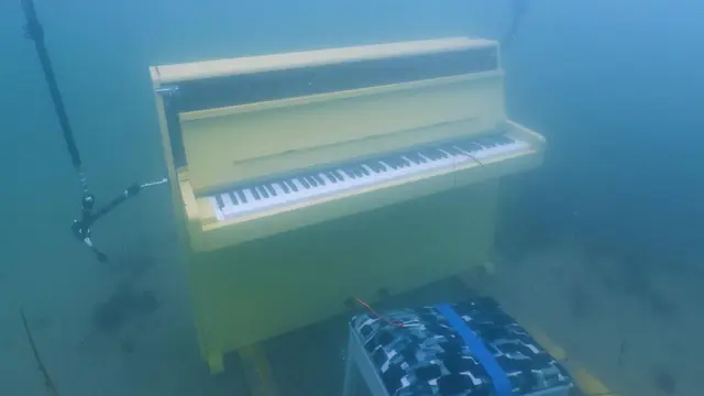 Viral Pianis Joe Jenkins Berhasil Memainkan Piano Didasar Laut