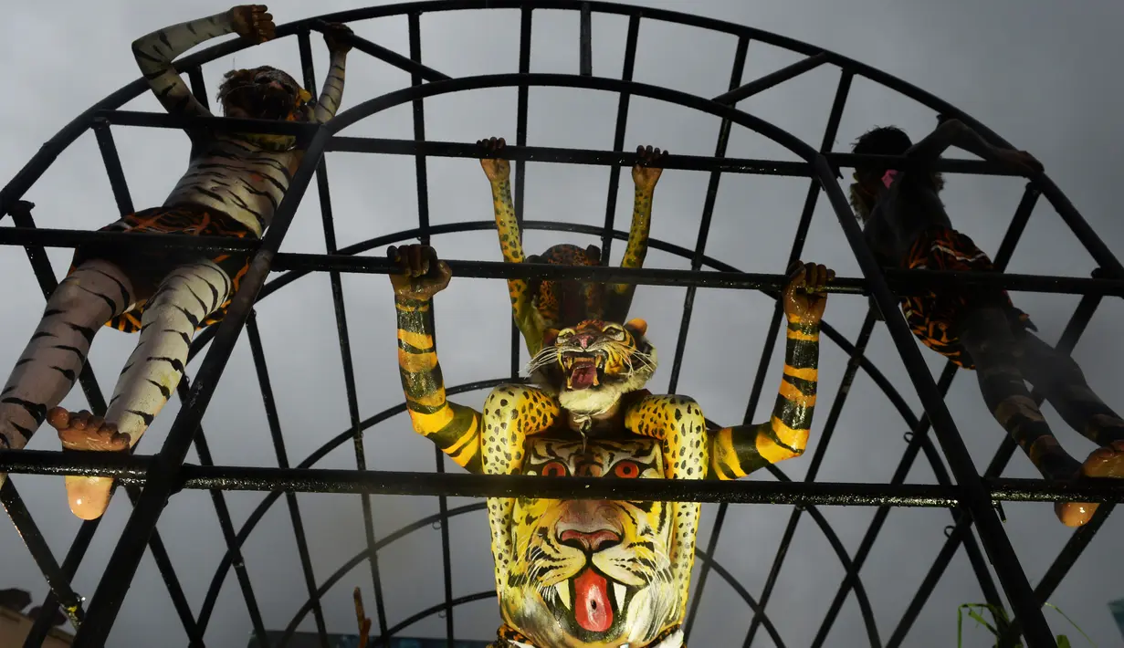 Aksi peserta saat ambil bagian dalam 'Pulikali', atau tarian harimau, di Thrissur, India (7/9). Acara kesenian rakyat ini diadakan setiap tahun di kota selama festival 'Onam'. (AFP Photo/Arun Sankar)