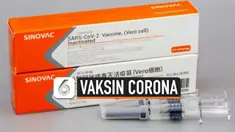 THUMBNAIL VAKSIN