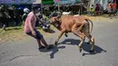 Seorang pedagang ternak menggiring seekor sapi di pasar ternak menjelang Idul Adha atau hari raya kurban bagi umat Muslim, di Surabaya, Jawa Timur, pada Rabu 20 Mei 2026. (JUNI KRISWANTO/AFP)