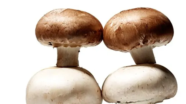 Foto: copyright aarp.org