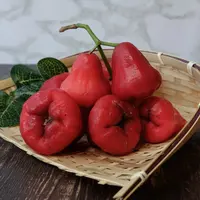 ilustrasi Manfaat mengonsumsi jambu air untuk menjaga sistem imun tubuh/Fidia Helianti/shutterstock