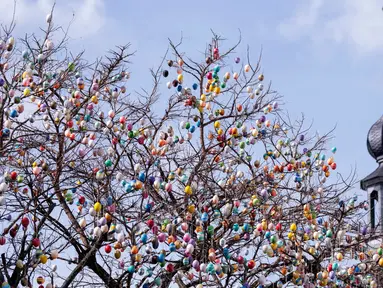 Sebuah pohon robinia yang dihias dengan 10.000 telur paskah warna-warni di kota Saalfeld, Jerman, Jumat (30/3). Pohon Paskah, merupakan tradisi lain yang berumur berabad-abad dan dibuat dari pohon atau semak kecil yang masih hidup. (AP/Jens Meyer)