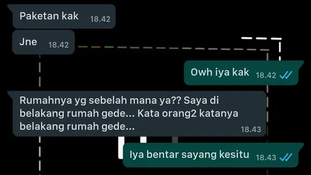 6 Chat Kurir Paket Salah Ketik ke Penerima Barang Ini Bikin Senyum-Senyum