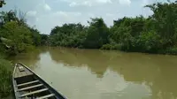 Kali Kriyan Cirebon menjadi salah satu sungai yang memiliki mitos kemunculan siluman buaya putih. Foto (Liputan6.com / Panji Prayitno)