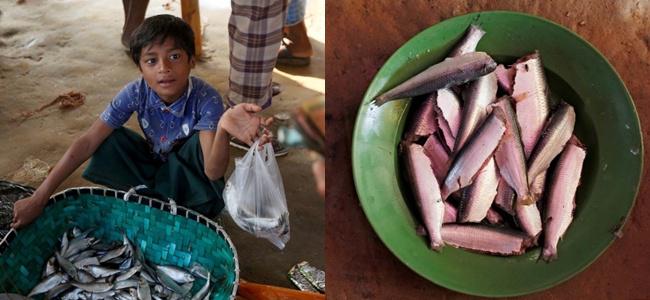 Hafes membeli ikan untuk keluarganya/ reuters.com/Adnan Abidi 