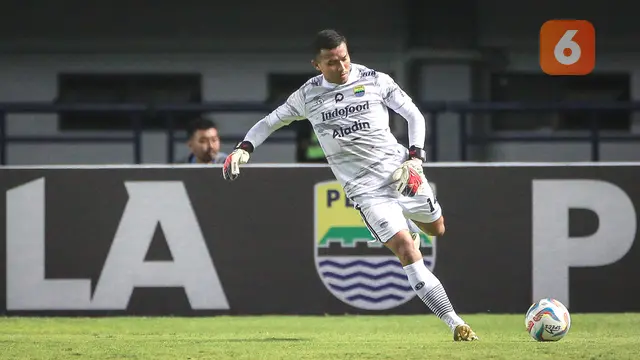 Persib Bandung vs Dewa United - BRI Liga 1 2023/2024