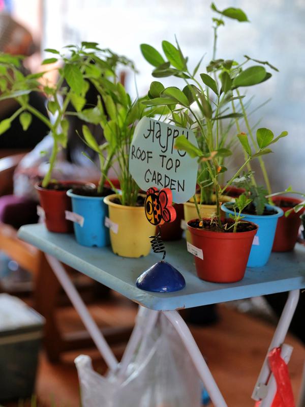Komunitas Urban Farming Jakarta: Ajak masyarakat berkebun di rumah. (Fimela.com/Adrian Putra)