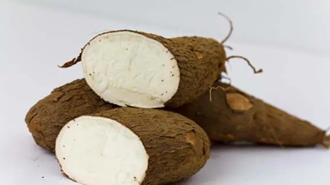 Foto: copyright thinkstockphotos.com