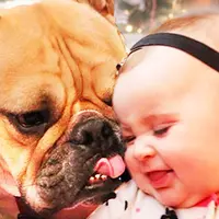 Melihat video ini rasannya tidak heran kenapa banyak orang yang mengatakan bahwa anjing adalah sahabat para bayi. 