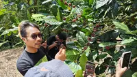 Dari Kopi ke 1.001 Kebaikan, Kisah Sewindu Perjalanan Pemberdayaan Madaya Sinjai
