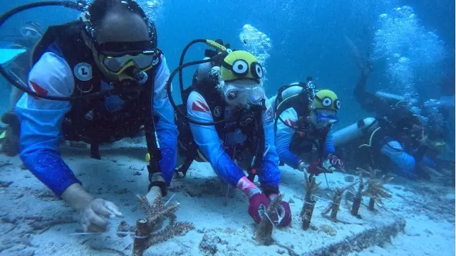 Pulihkan Ekosistem Wisata Laut, Pekerja BRI Lakukan Transplantasi Terumbu Karang di Perairan Kepulauan Sabang