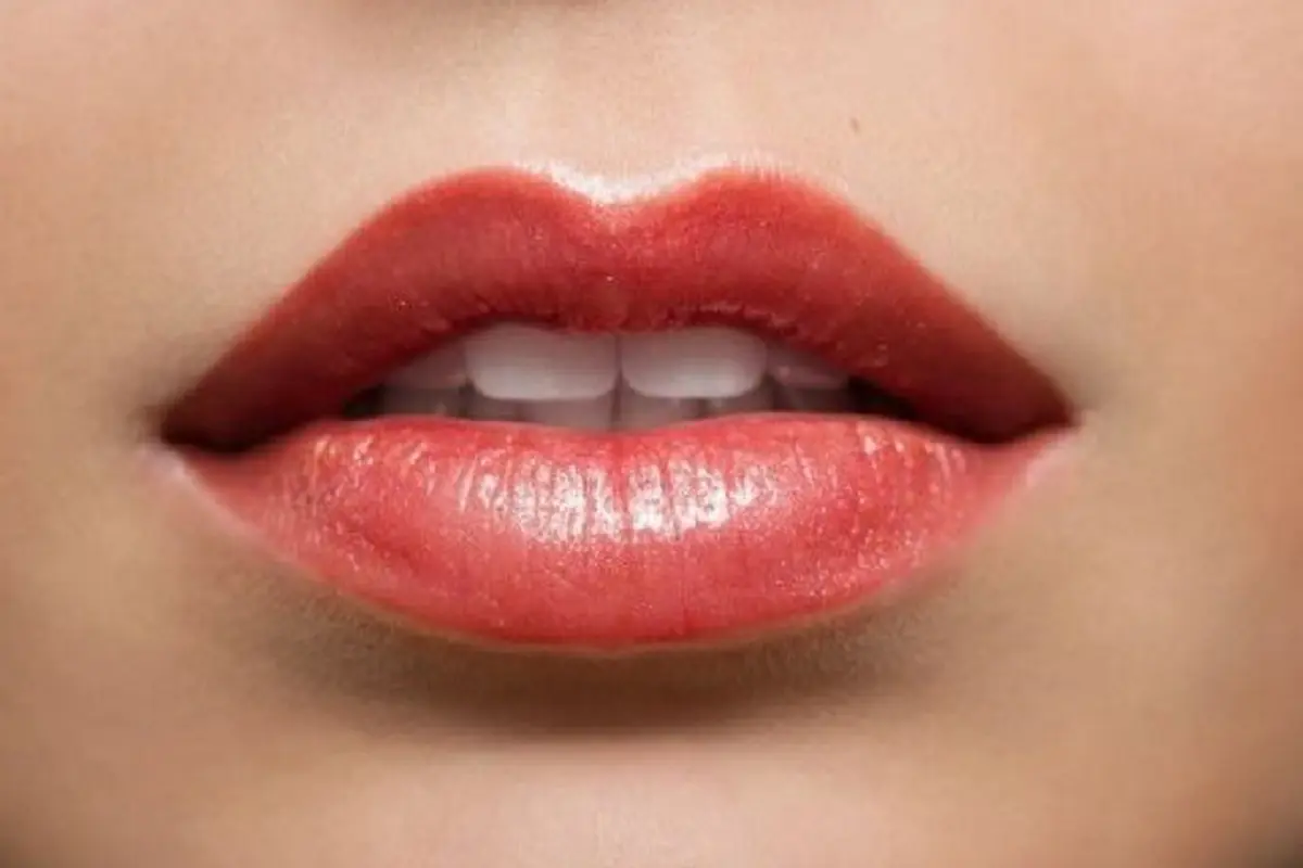 bibir