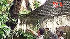 liputan6