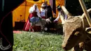 Seorang wanita memperkenalkan kambingnya selama kontes kecantikan kambing di Ramygala, Lithuania, Minggu (26/6). Kambing telah menjadi simbol desa Ramygala sejak abad pertengahan dan sangat dihargai oleh penduduk setempat.(REUTERS/Ints Kalnins)