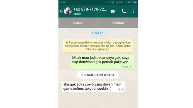 Netizen nembak cewek